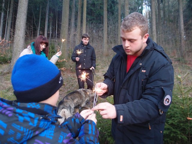 Zdobení stromečku 2013